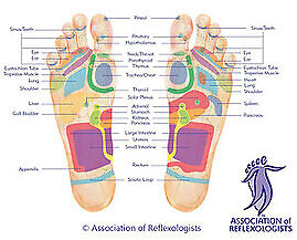 Therapies. Footmap (old) (old) (old) (old)